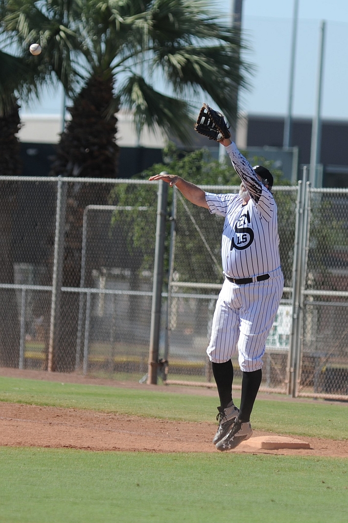 Seals_2019-10-09 (344).JPG - (c)2010 DeVetter